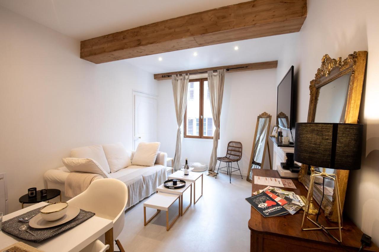 "L'Historique" - Charmant Appartement En Centre-Ville Historique Chambéry Eksteriør billede